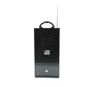 Bluetooth колонка Bass Polska BH 5941 Bluetooth колонка Bass Polska BH 5941